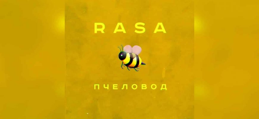 Смысл песни Пчеловод - RASA