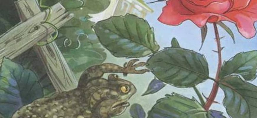 Смысл сказки о жабе и розе