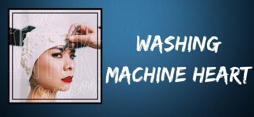 Смысл песни "washing machine heart" исполнительницы mitski