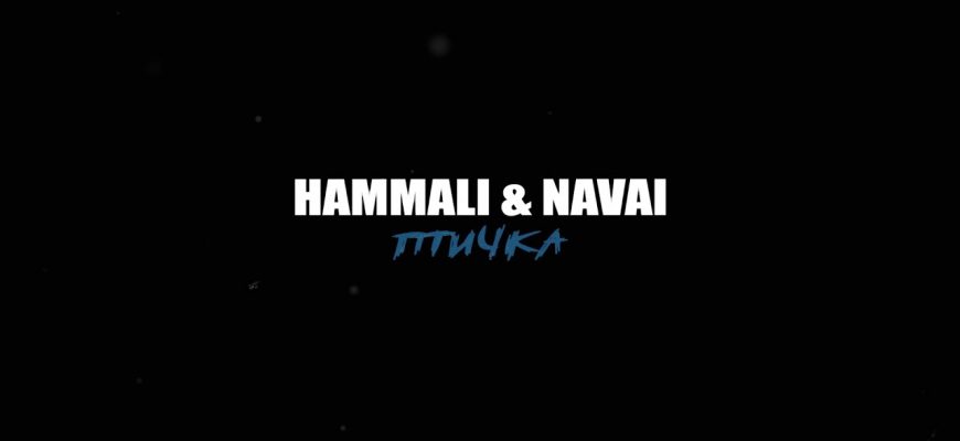 В чем заключается смысл песни "Птичка" Hammali?