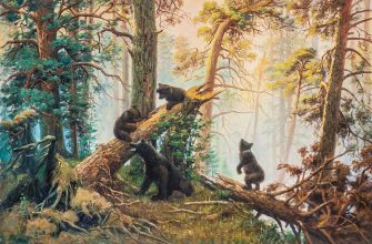 Сочинение-описание картины Шишкина "Утро в сосновом лесу"