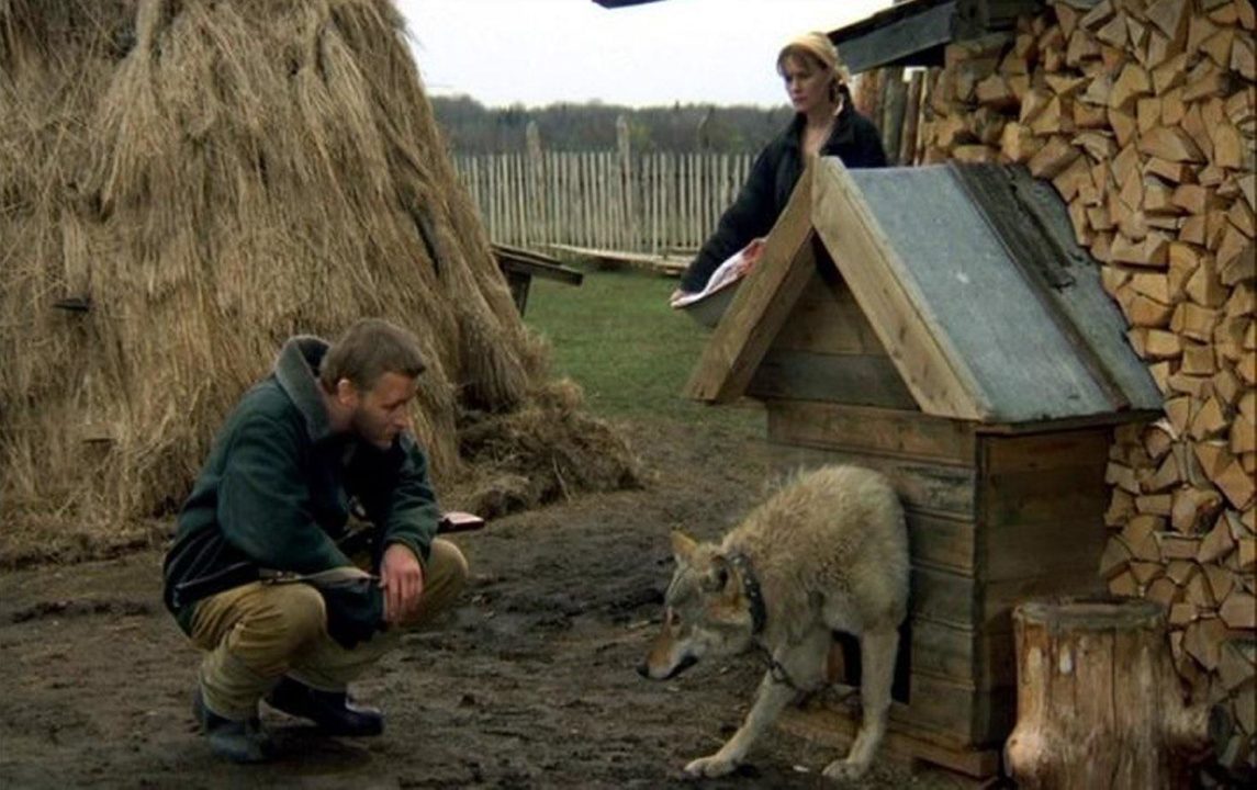Весьегонская волчица" (2004) .